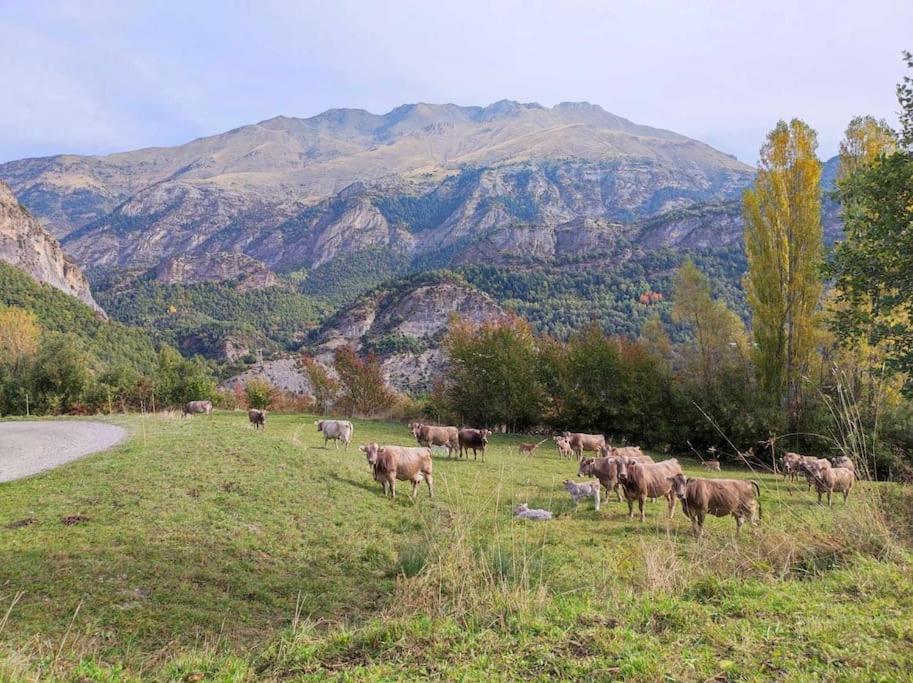 El Refugio De Tena - Tucasaenlospirineos Escarrilla Exteriér fotografie
